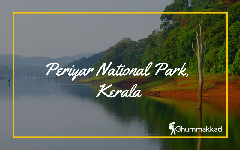 Periyar-National-Park,-Kerala