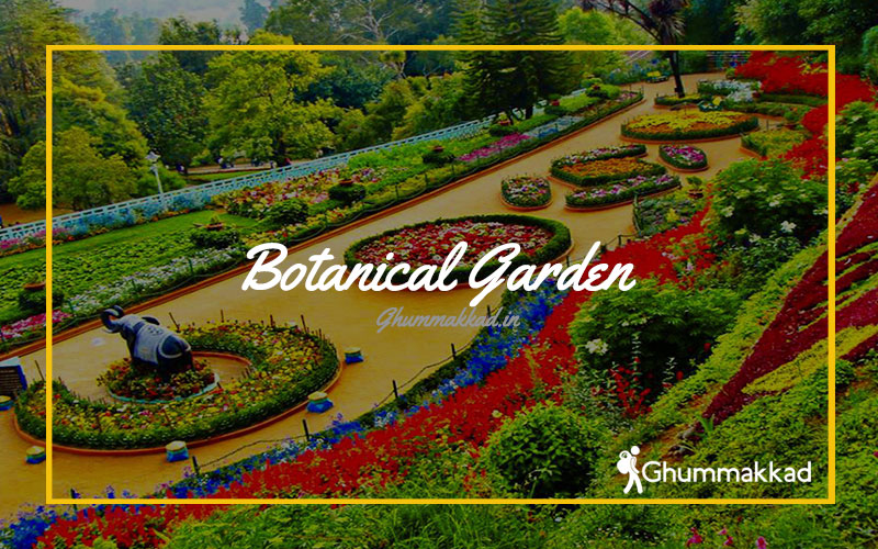 Botanical Garden, Ooty, Tamil Nadu