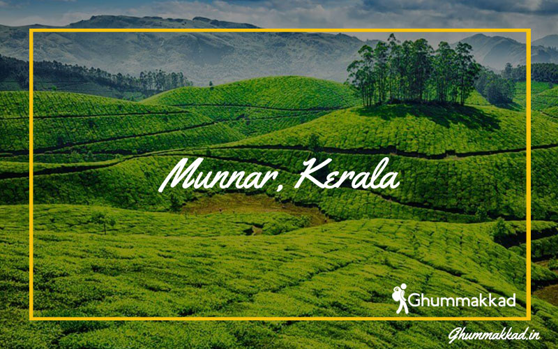 Munnar is a standout amongst the most delightful and well known slope stations in South tea-gardens-in-munnar